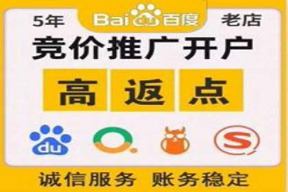 百度SEO推广公司案例精选：助力企业快速崛起
